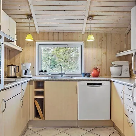 بيت للعطل 0193-romo-smafolksvej-31